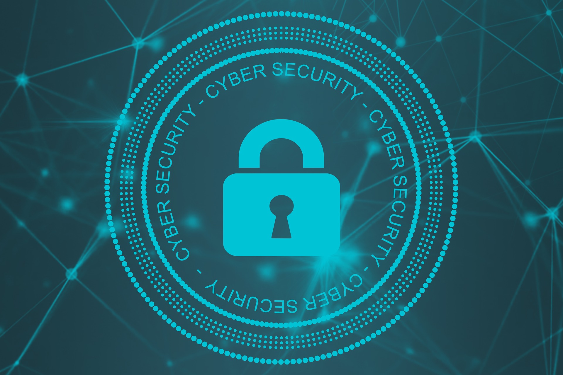 Home-Itblue 2 cyber security lock